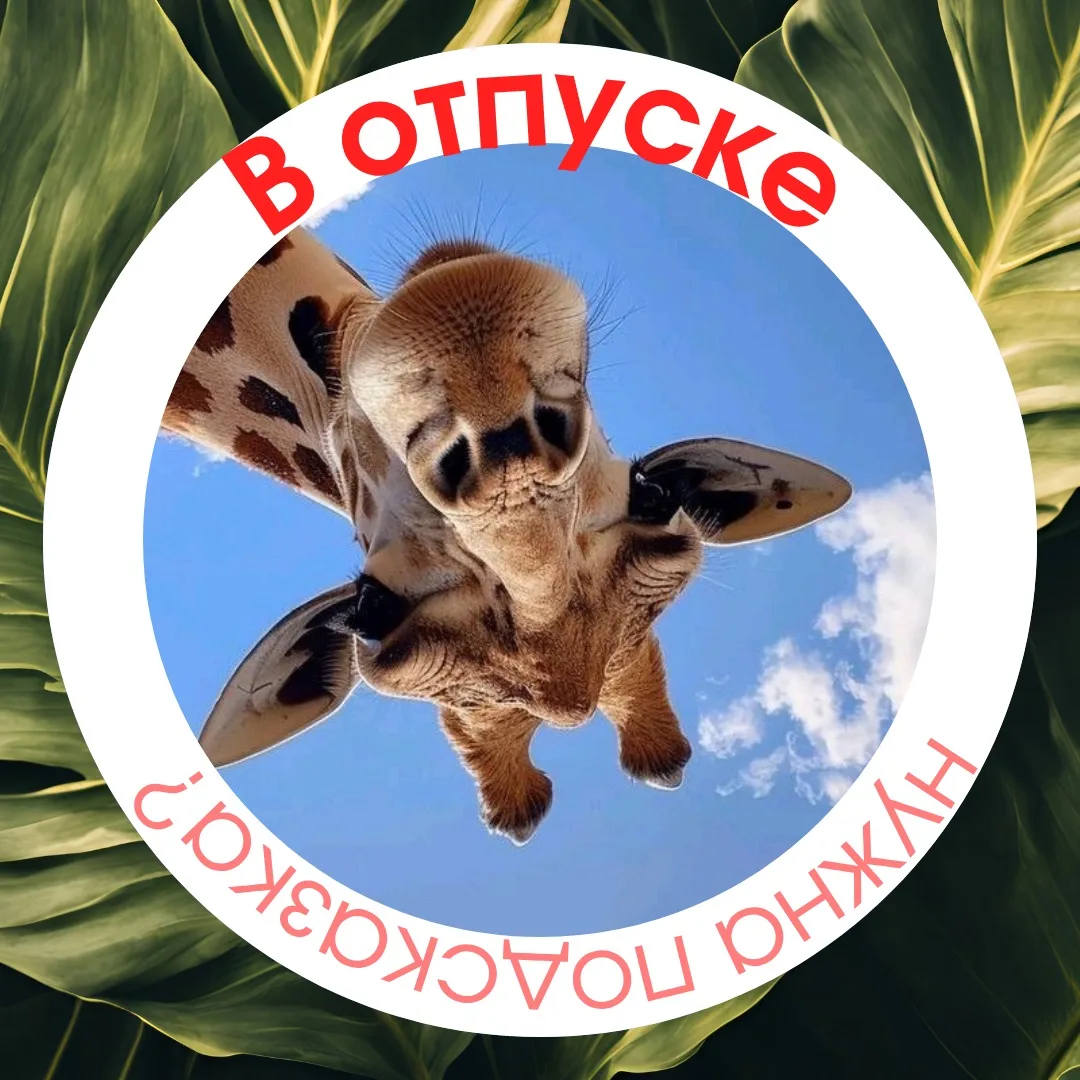 Изображение 3 к публикации «Минсоцразвития МО»