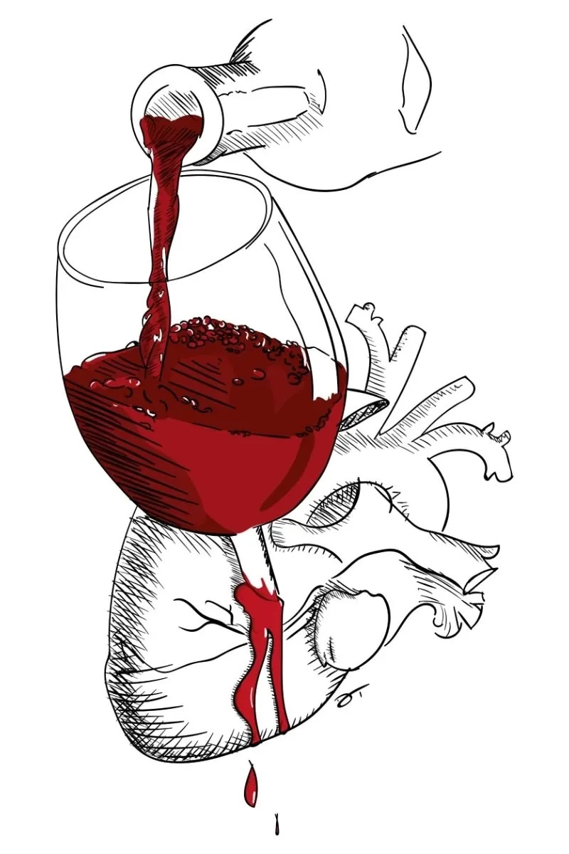 Удар по самому ценному: как алкоголь разрушает сердце, мозг и печень 🍷💔