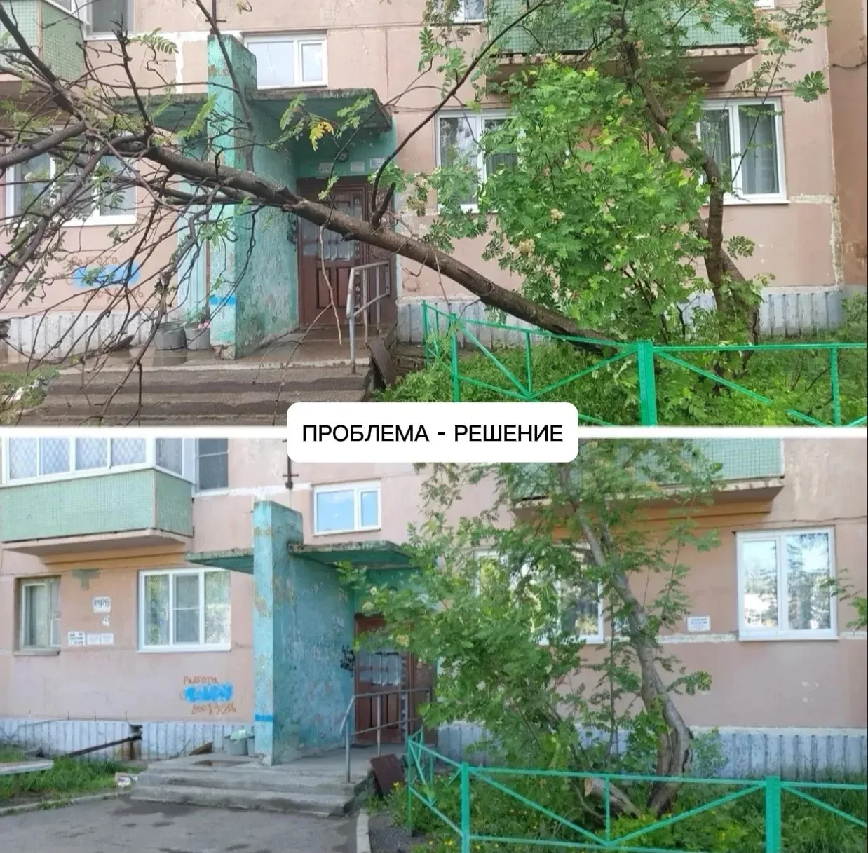 ⚡️ После сильного ветра в городе были зафиксированы обращения жителей о падении деревьев.

Во дворе 