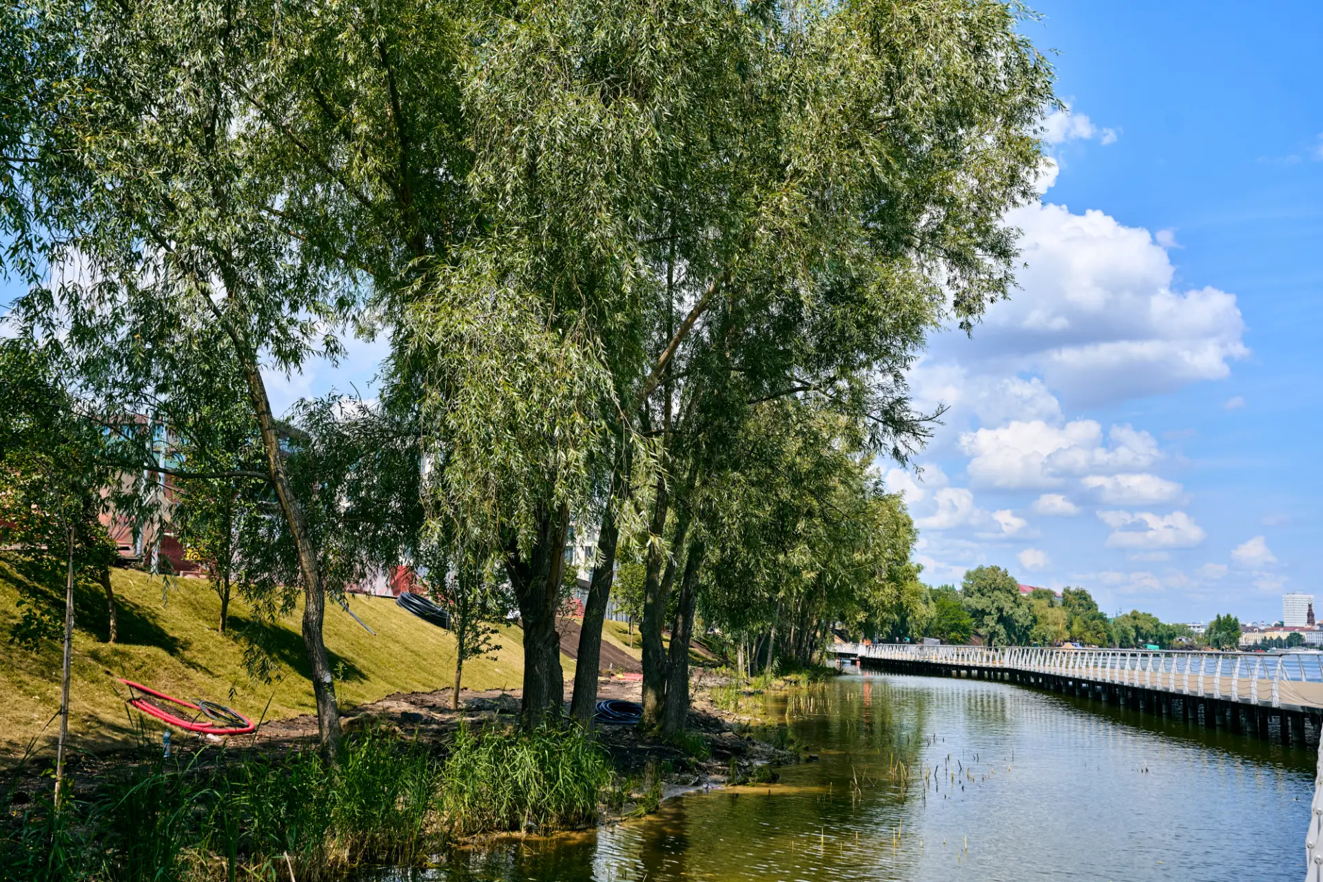 🌳Помните скандальную вырубку многолетних ив на берегу Кабана?

Власти показали, что высаживают на и