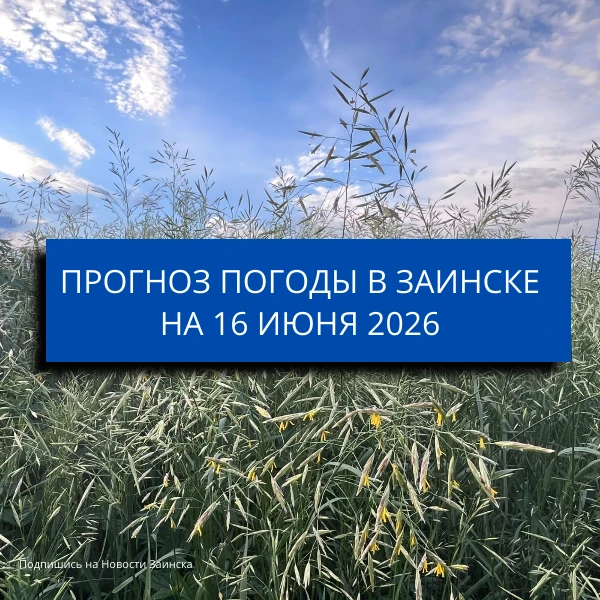 В Заинске 16 июня ожидаются дожди и грозы

Завтра, 16 июня, в Заинске прогнозируется переменная обла