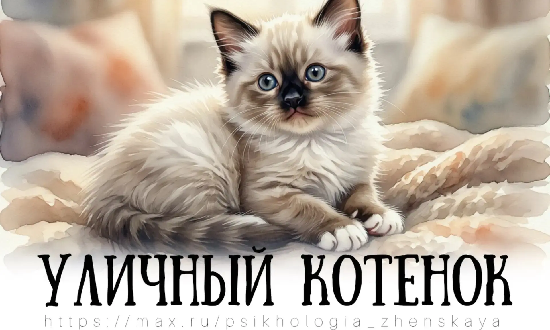 Пашка уже давно (дней шесть), подкармливал бездомного котенка. Малыш был весь такой неж...
