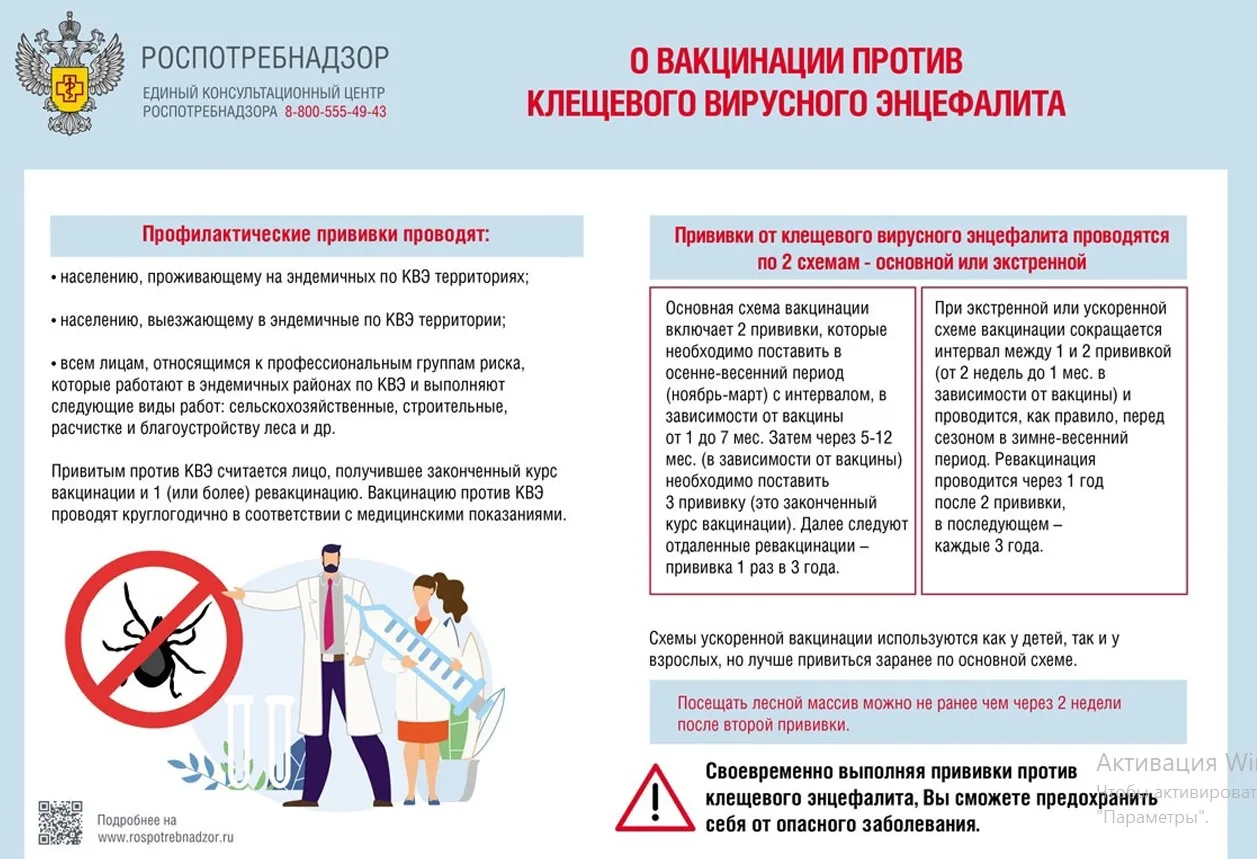 🕷️ ОСТОРОЖНО, КЛЕЩИ! Сезон активности начался!