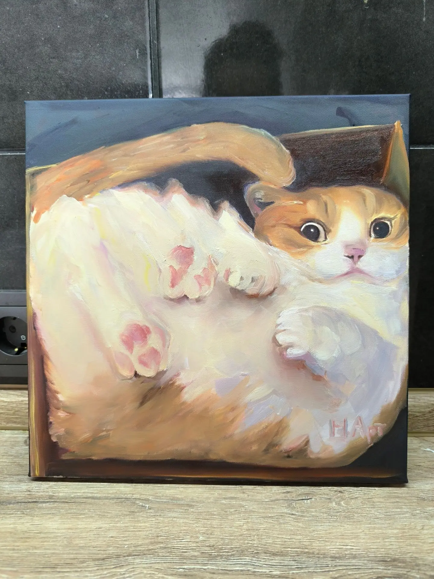 Ловушка для кота