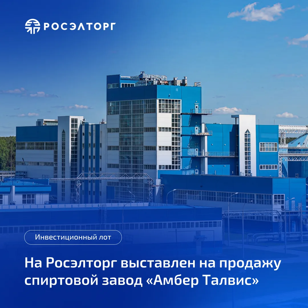 На Росэлторг за 3,9 млрд рублей продаётся спиртовой завод «Амбер Талвис»