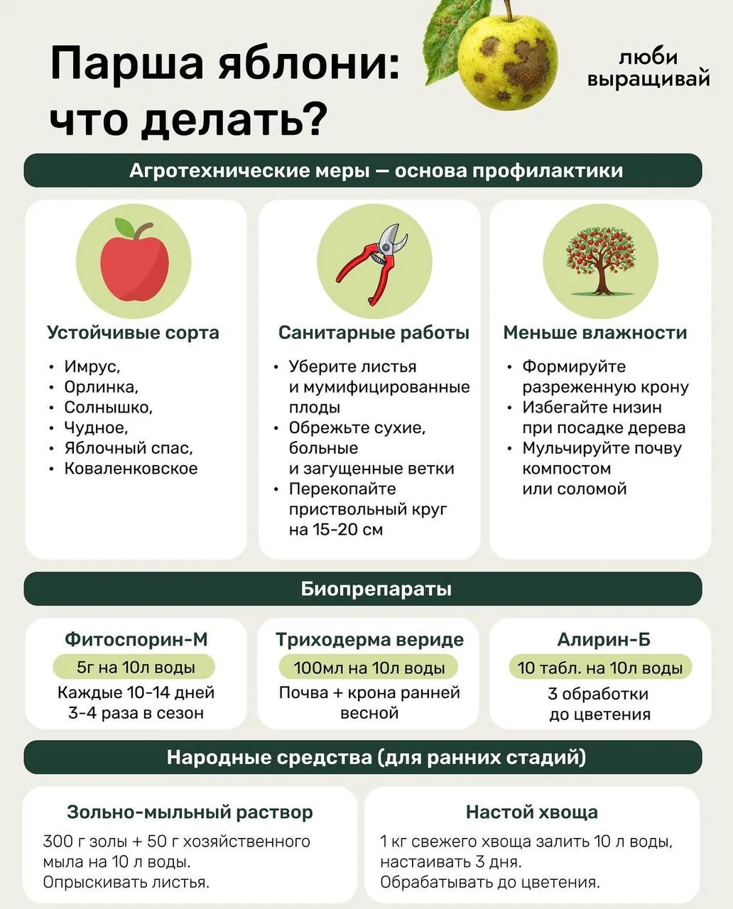 Парша яблони: что делать? 🍎