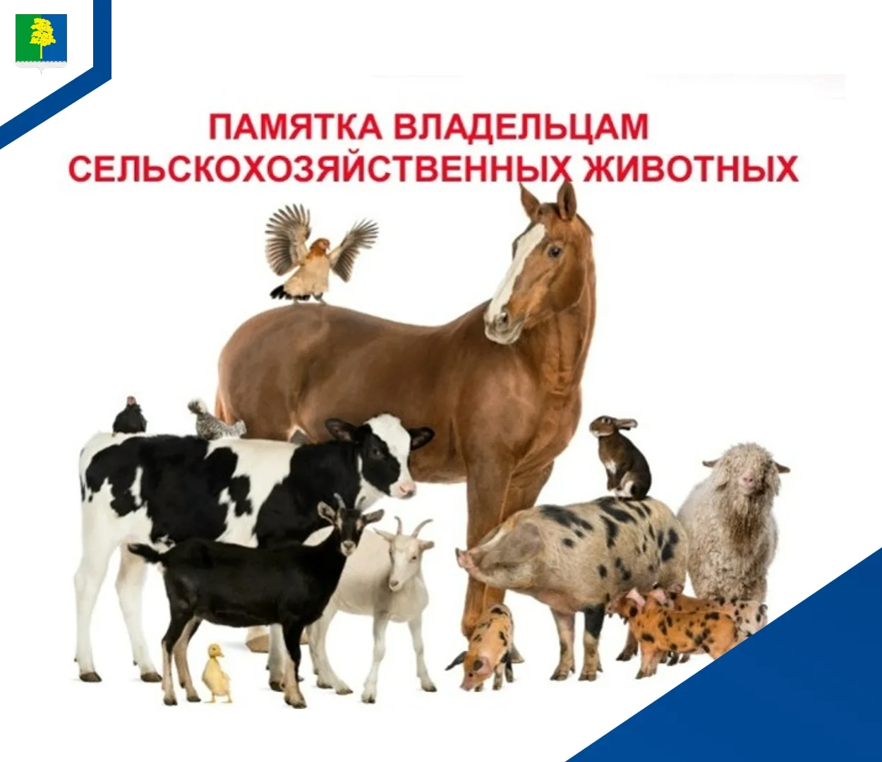 Уважаемые жители! 
 
В целях обеспечения эпизоотического благополучия и безопасности всего поголовья