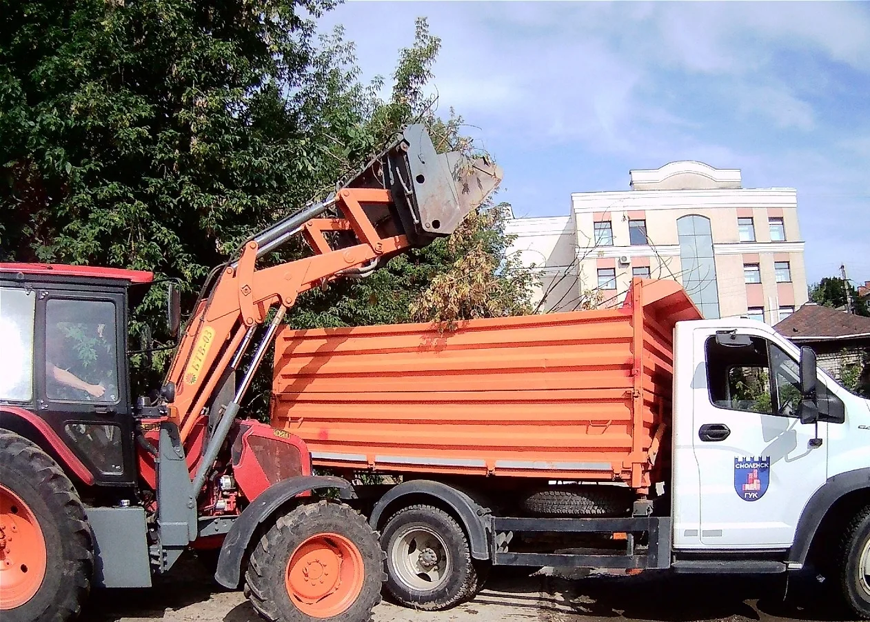 🌳 Наведение порядка на придомовых территориях 
 
Своевременное освобождение дворов от растительного