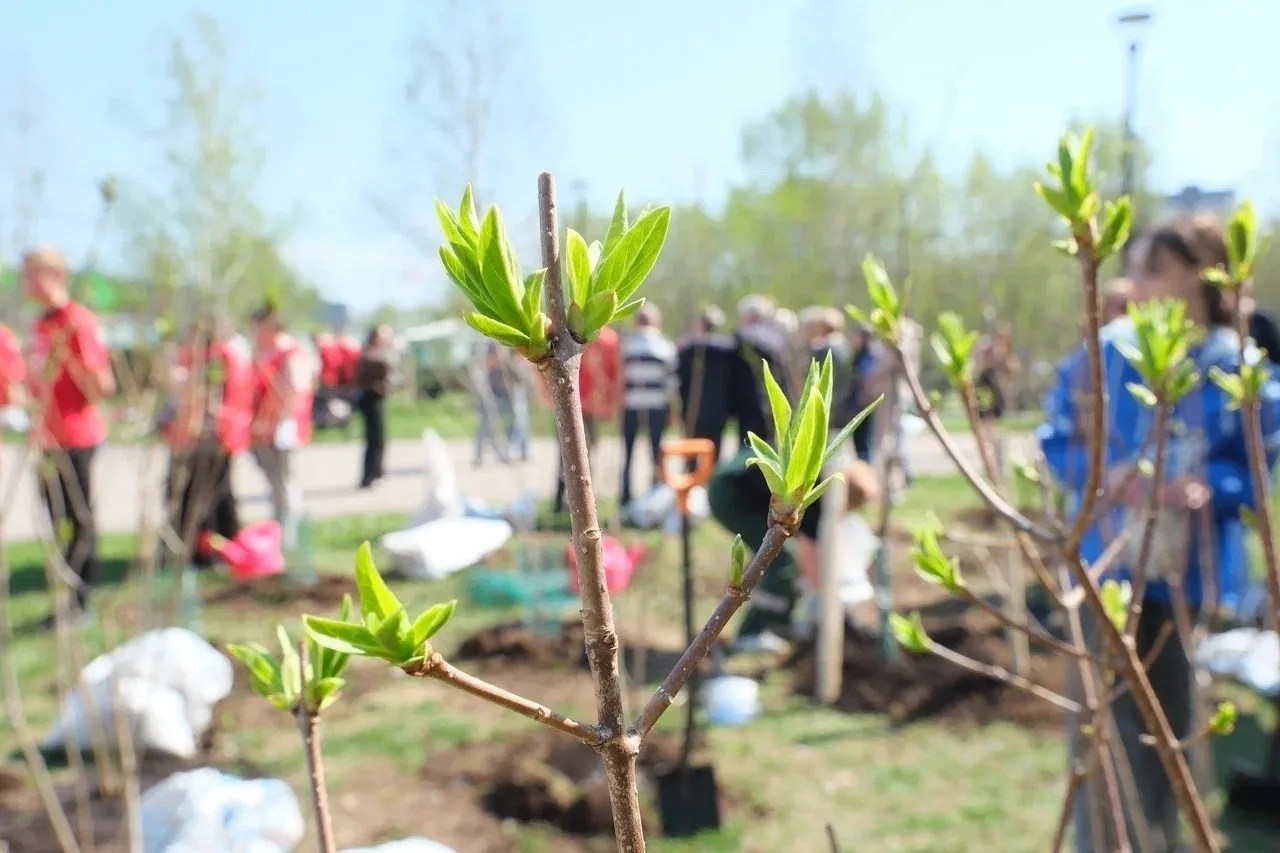 Приняли участие во Всероссийской акции «Сад памяти» 🌳🕊️  6 мая в сквере им. Н.Ф. Краснова города Пер