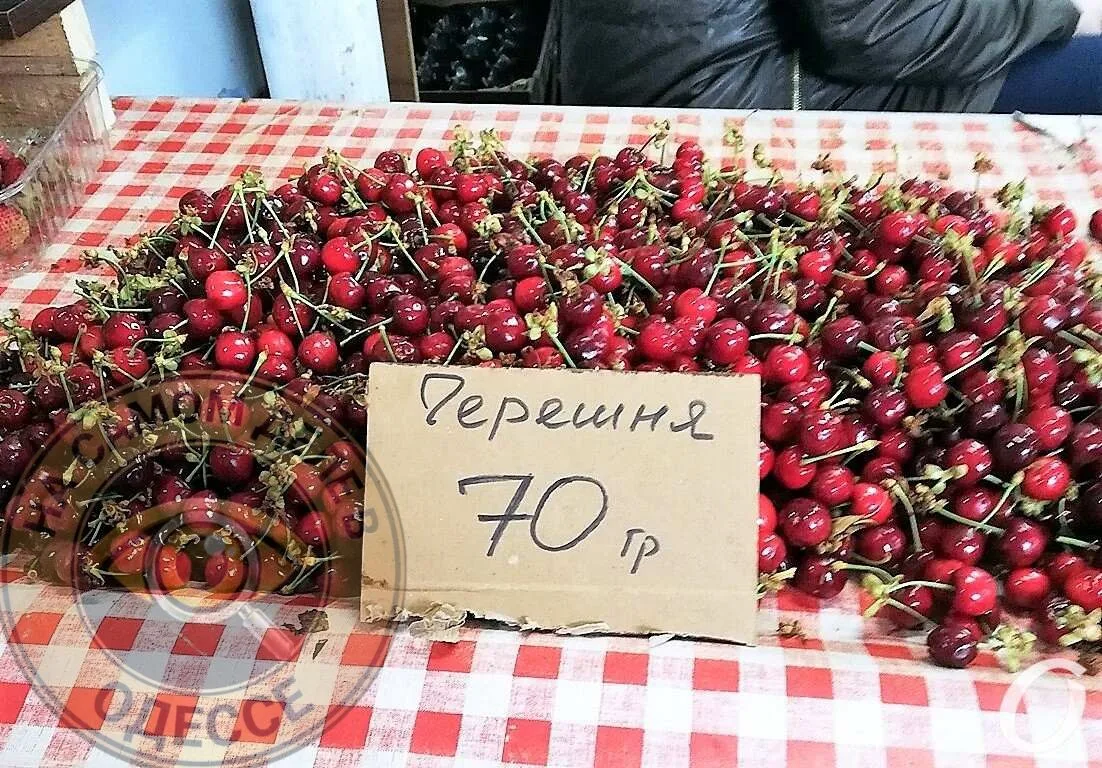 🍒 Черешня на территории Украина резко дешевеет!

За неделю цены снизились в среднем на 23%. Сейчас 