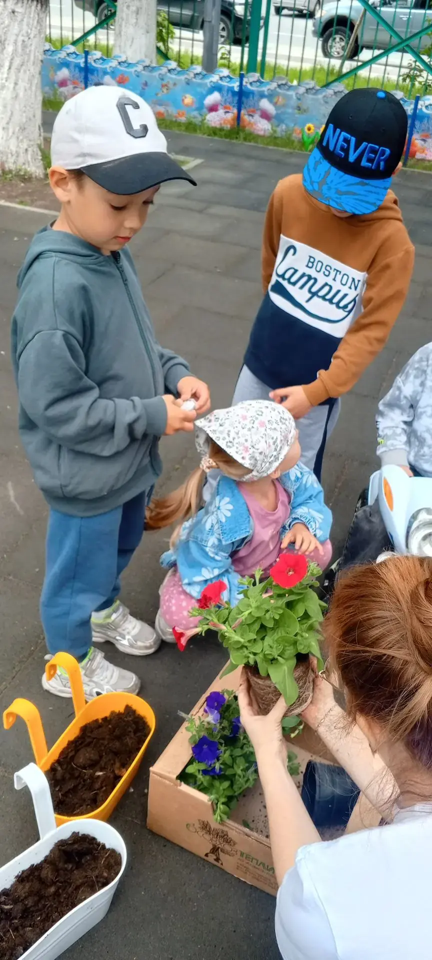 🌱 Совместная посадка цветов в группе «Радуга»: учимся заботиться о природе! 🌈🌸

Средняя группа «Р