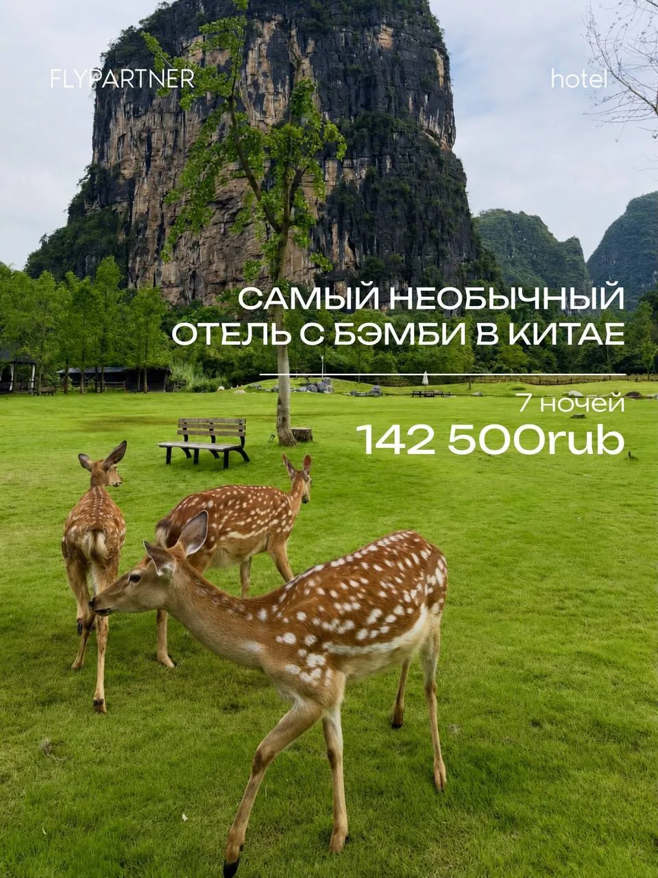 Изображение 6 к публикации «Окак»