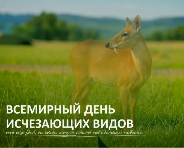 Без растений и животных,