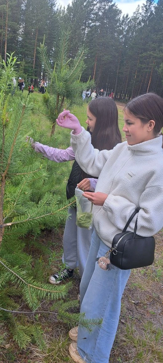 Ещё одна неделя прошла! 🌲🏊‍♂️🧠

Экологический отряд «Лесовичок» не сидел без дела. Ребята активно
