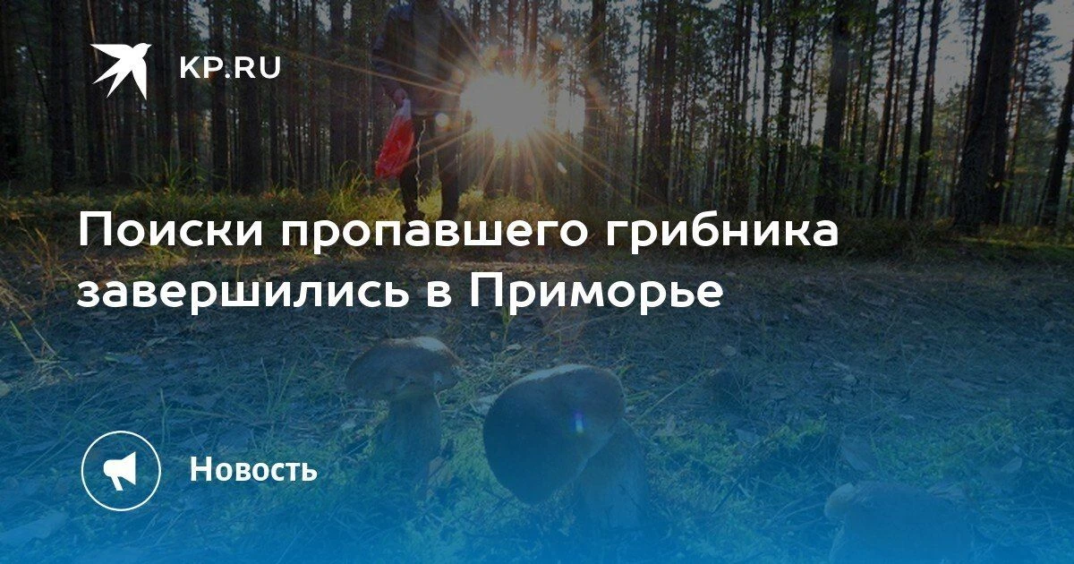 Полицейские нашли заблудившегося грибника