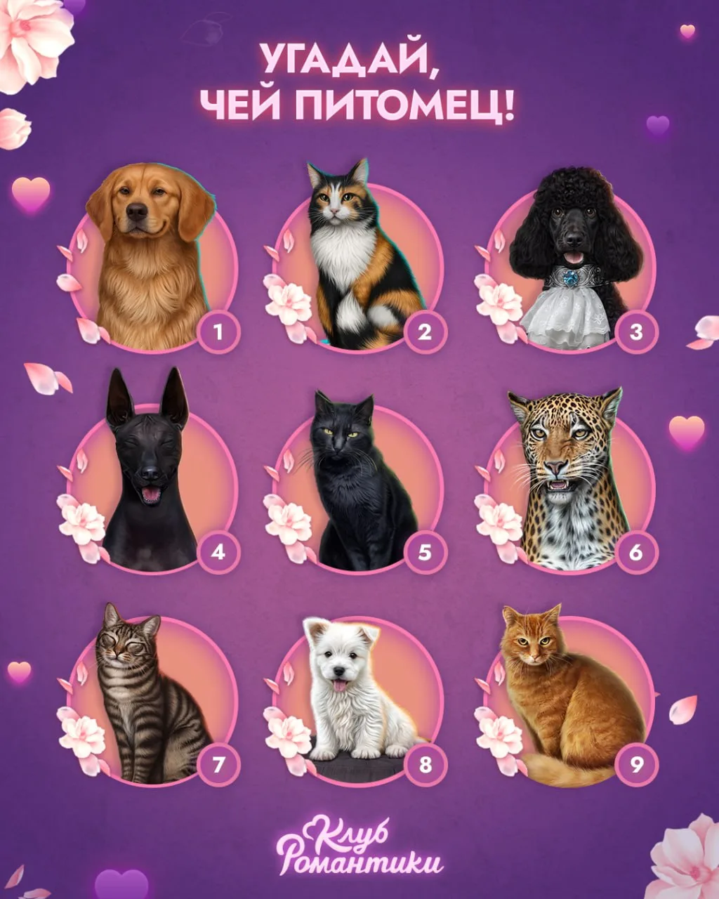 🐾 Чей хвостик? В историях «Клуба Романтики» персонажи постоянно сталкиваются с тайнами, опасными пр