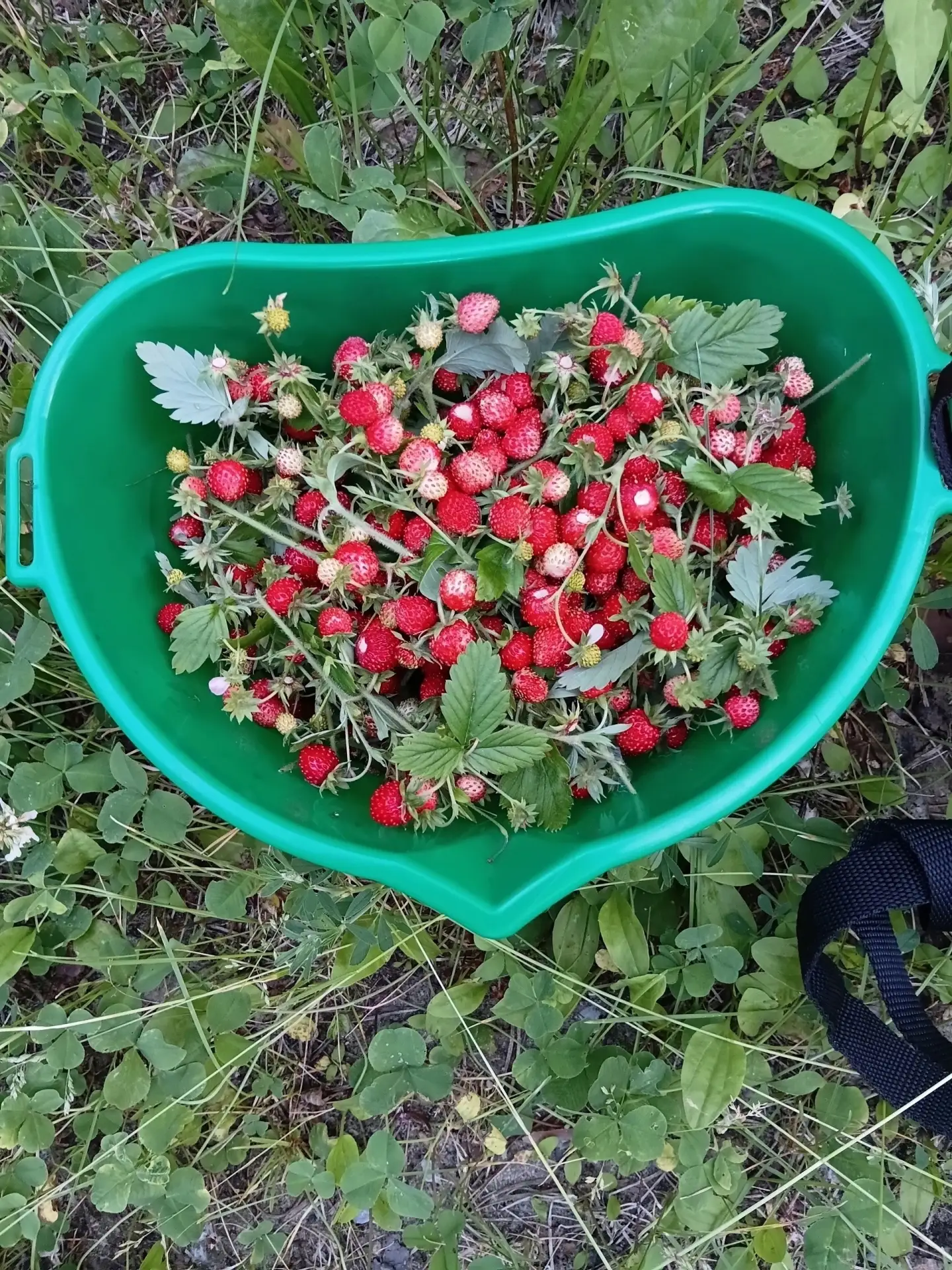 Похоже, сезон спокойных охот уже начался в этой области.

📡 РЖВ ТГ | ВК | МАХ

ЧАТ Жителей Воронежа