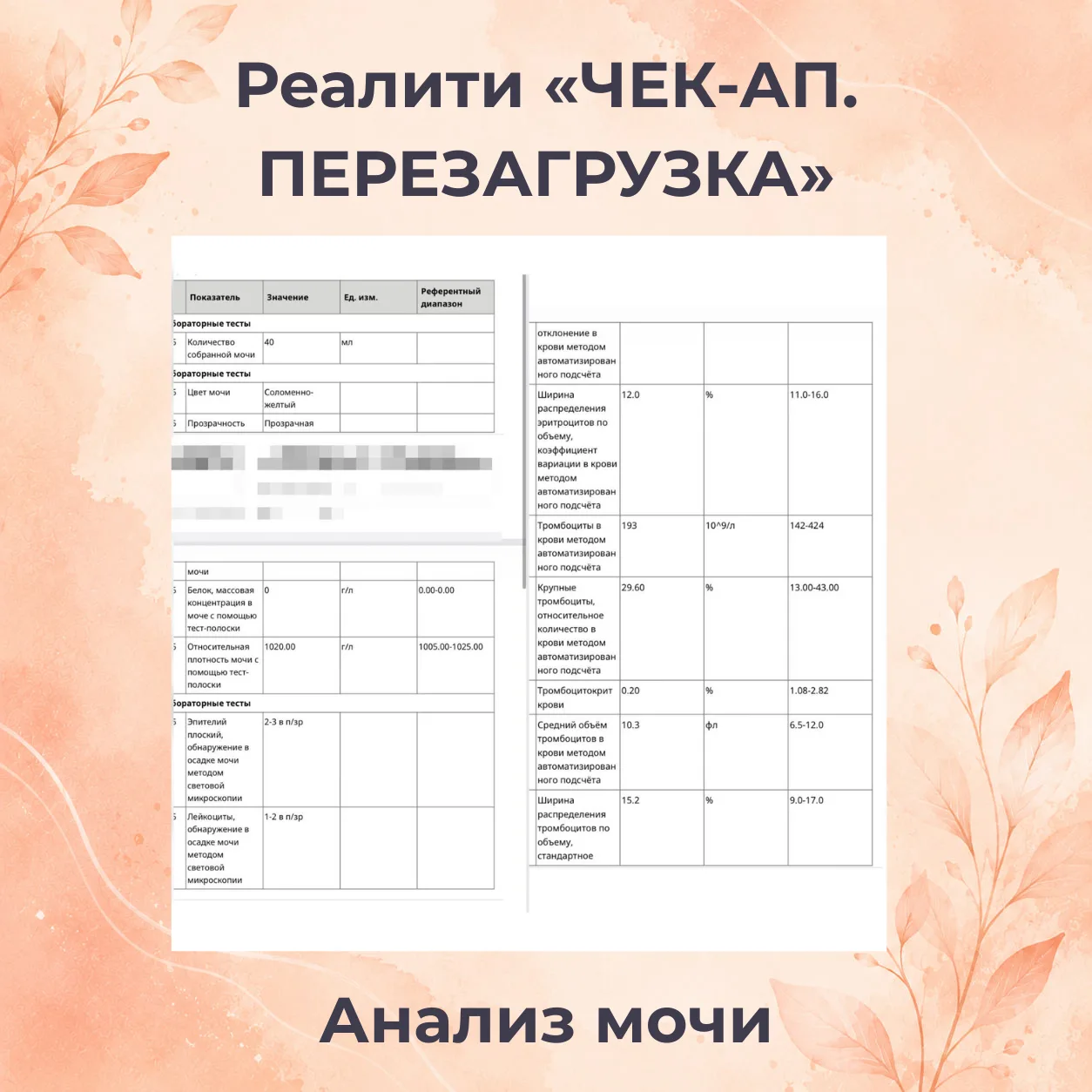 Вы сейчас увидите то, что годами не замечали врачи!

Друзья, помните нашу Ярину?❤️ Ту самую женщину,