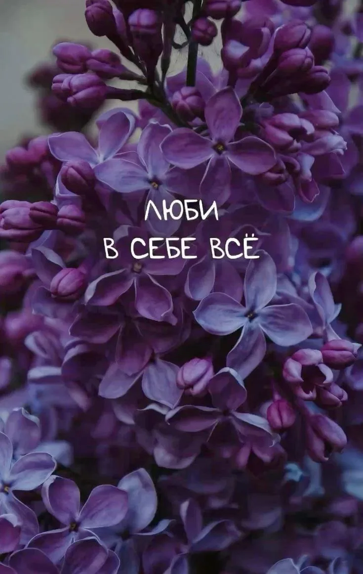 Настроение 💖

💌 Открытки в МАХ – Подписаться