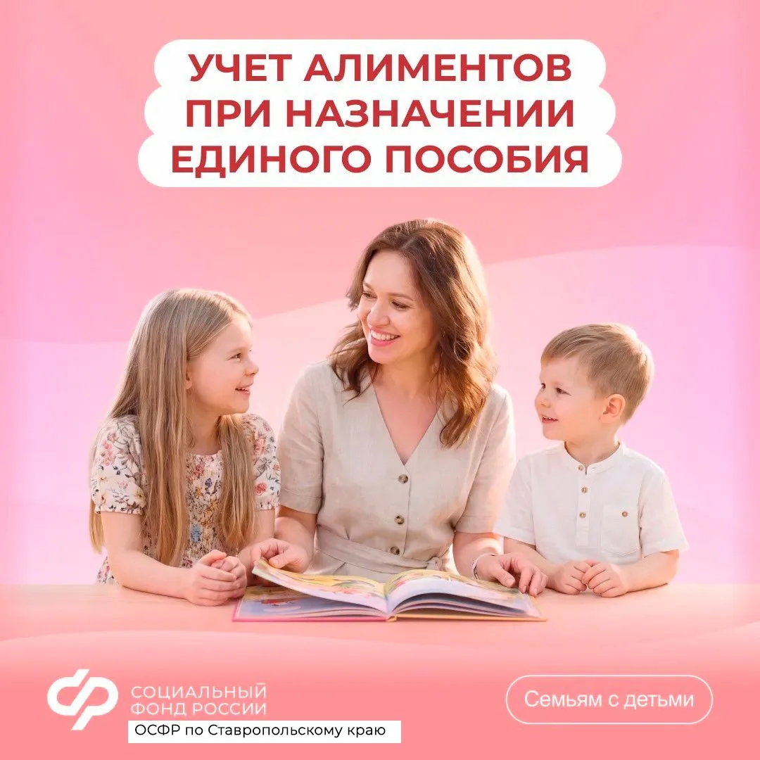 Как считаются алименты при назначении единого пособия