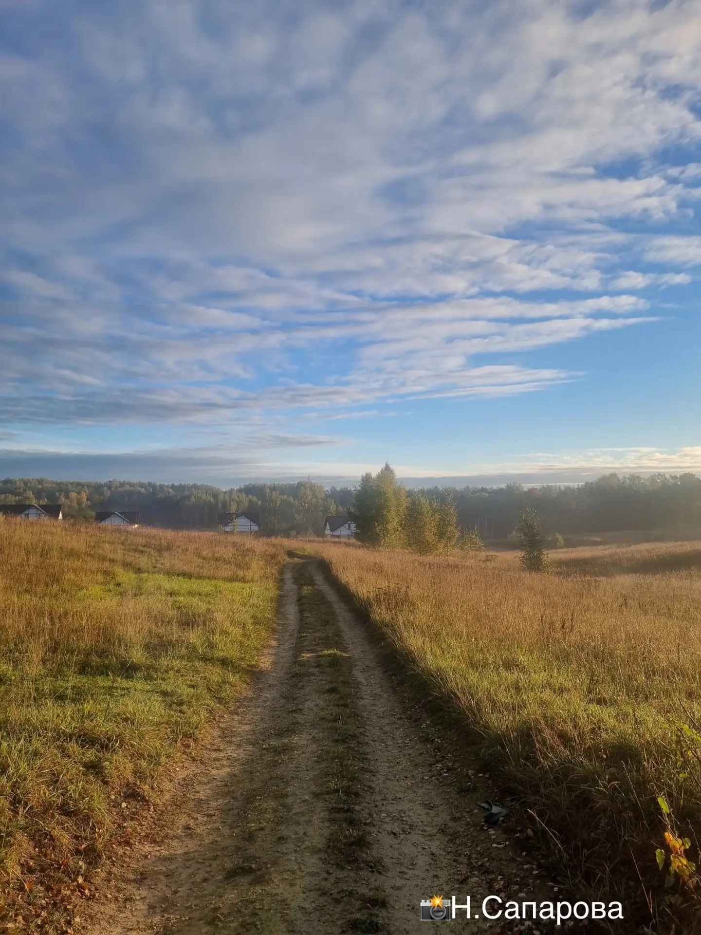 Доброе утро, Колтуши! 😎Хорошего дня! 🍁