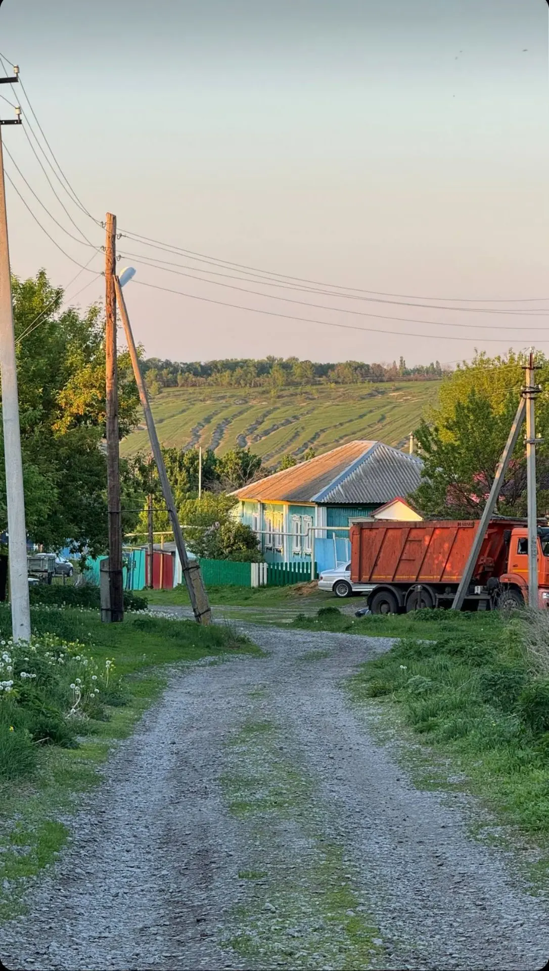 Сегодня я заехала в гости в деревню — и, честно, на секунду почувствовала себя в детстве🌿