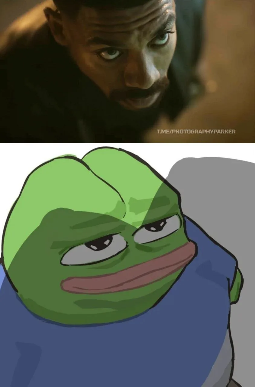Предложка: Паркер