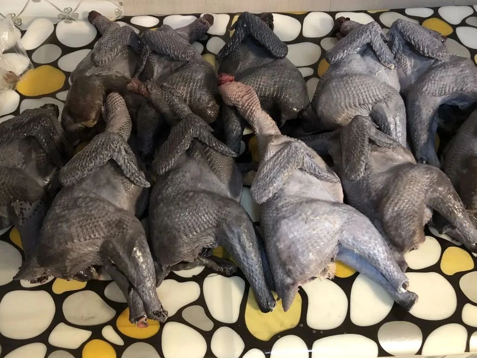 Продам тушки молодых петушков  Лакендази, цена 800 руб./кг. Мясо перепëлки – 900 руб./к...