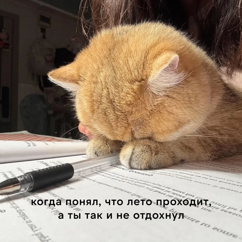 👋Доброе утро, ЮГУ!

Больше половины лета уже позади. Главное — не забывать о том, что каждый день у