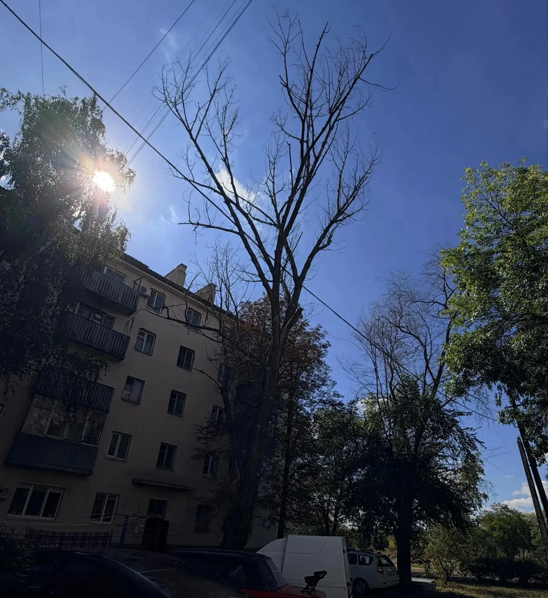 От жителей.