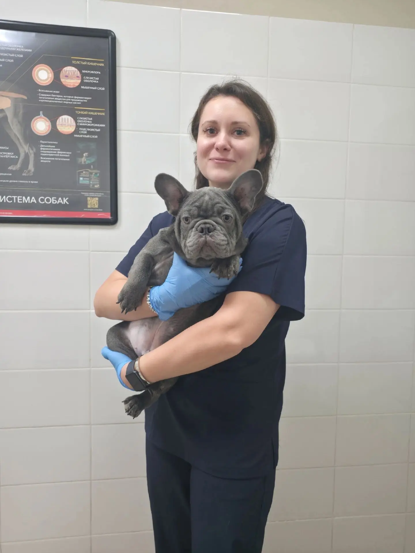 Коллеги, поздравляю с Днем ветеринарного работника! 🐾