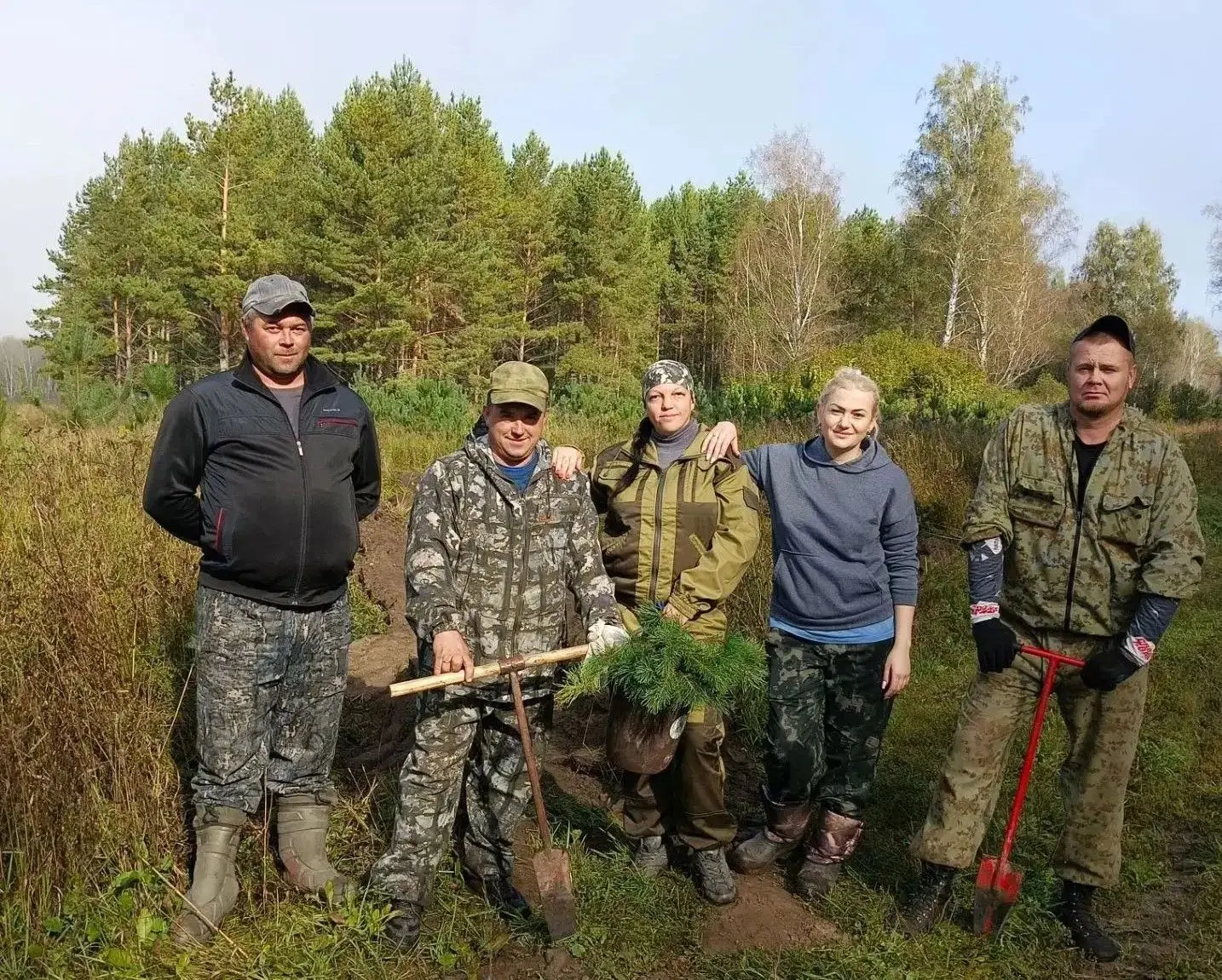 Осенью в лесах Алтайского края высадят около полумиллиона деревьев