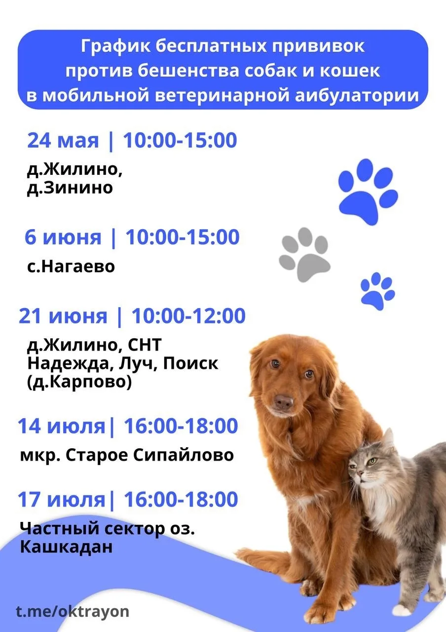 Здоровье питомцев в надежных руках 🙌🏻

🐾 Нашим пушистым друзьям, как и людям, ежегодно требуется 
