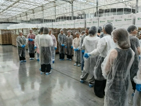 Экскурсия в тепличный комплекс «Пермский»   15 мая в рамках проведения учебных занятий «Агрокласса» 