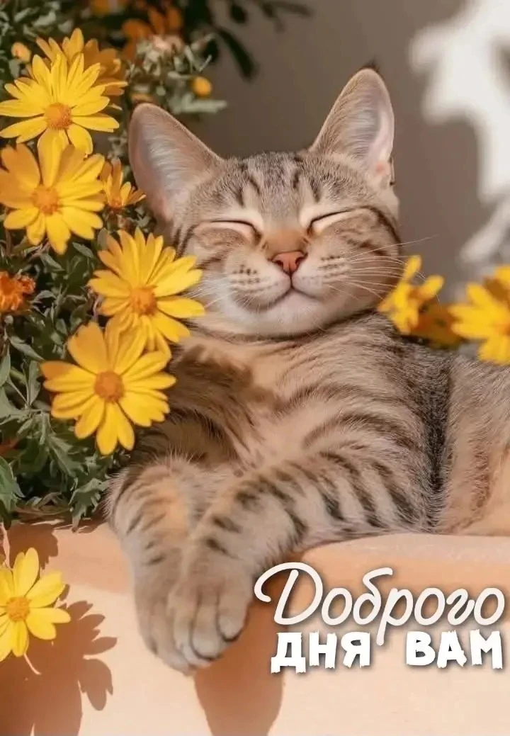 Открытки на каждый день 🎀