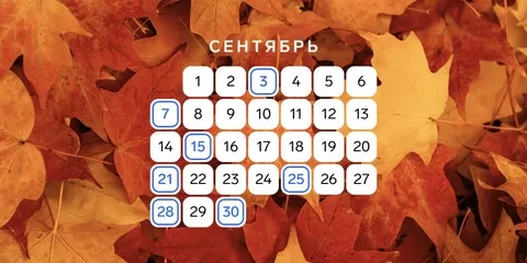 🔷В первый месяц осени малому и среднему бизнесу предстоят стандартные платежи и отчетн...