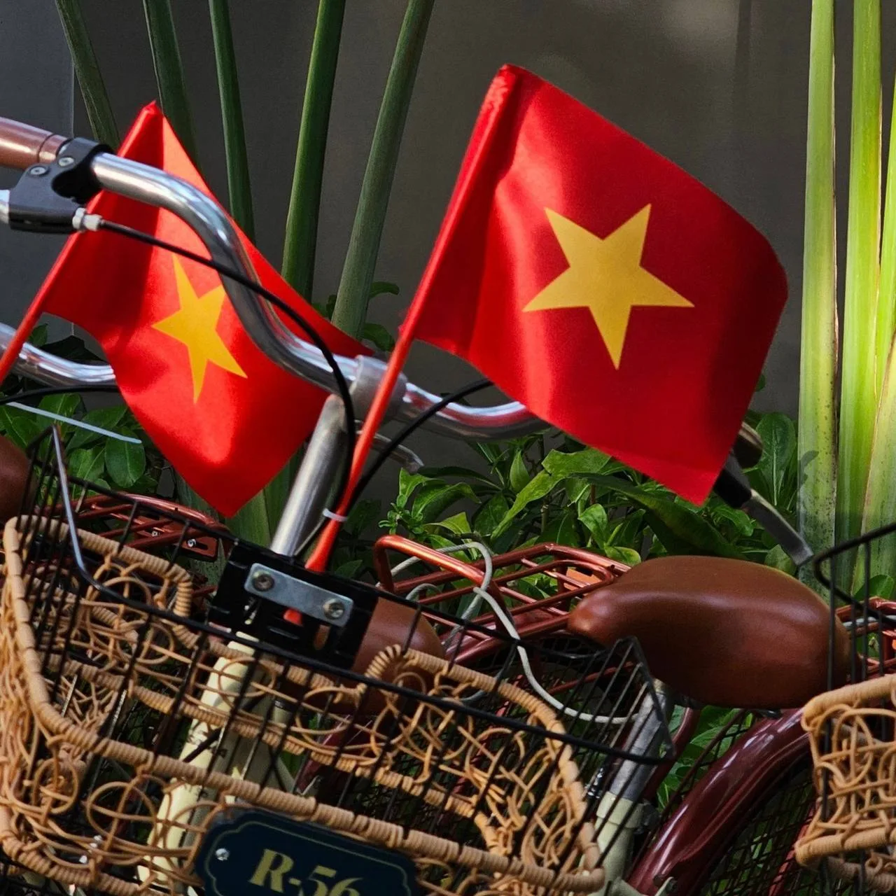 Вьетнама мало не бывает 🇻🇳