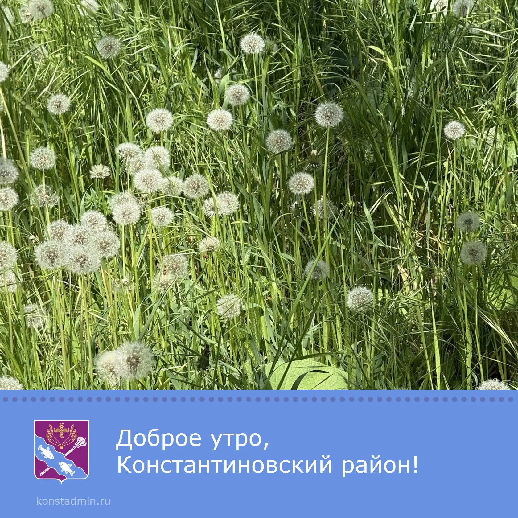 Доброе утро, уважаемые жители Константиновского района!  Пусть новый день откроет дверь в мир неизуч