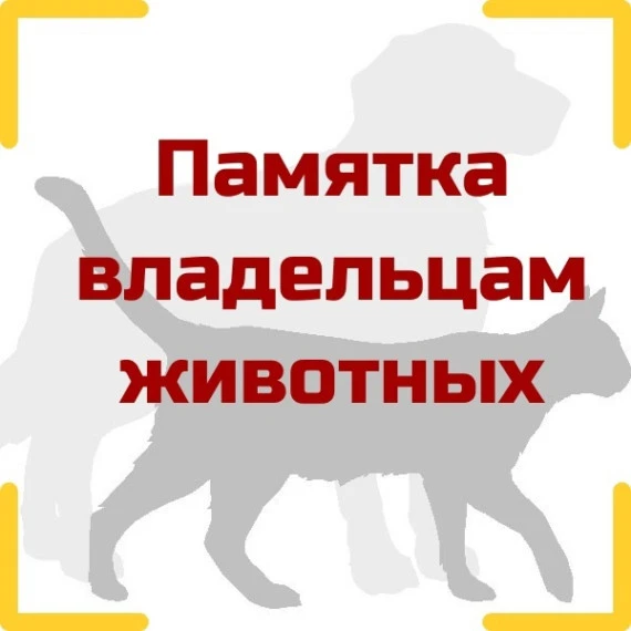 🐄 Внимание, владельцы животных! 🐓Управление Россельхознадзора по Ростовской, Волгогра...