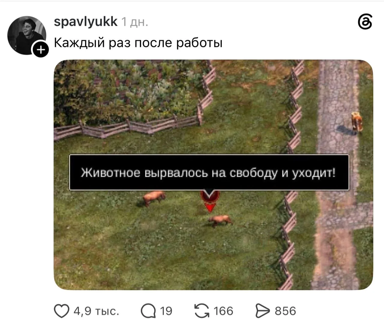 Коллеги, пятница! 💃