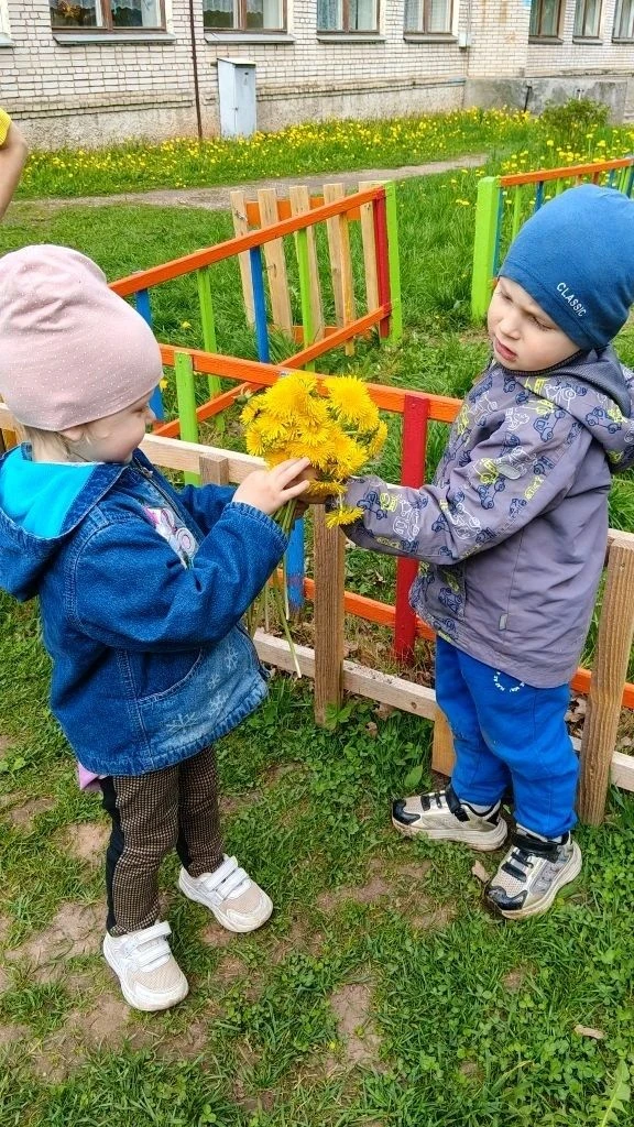 🌼Дети продолжают знакомиться с природой родного края. День одуванчика в нашем детском ...