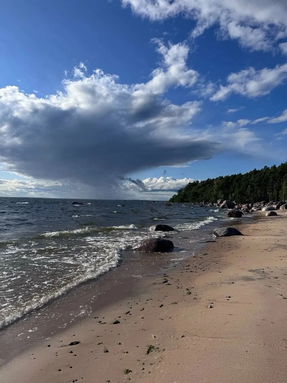 🏞 Осенний маршрут к Финскому заливу — экотропа «Мыс Киперорт»
