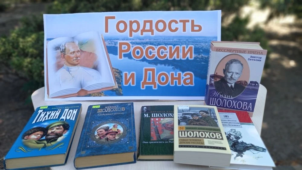 В парке культуры и отдыха имени А.В. Ляпидевского библиотекари демонстрировали книжную выставку «Гор
