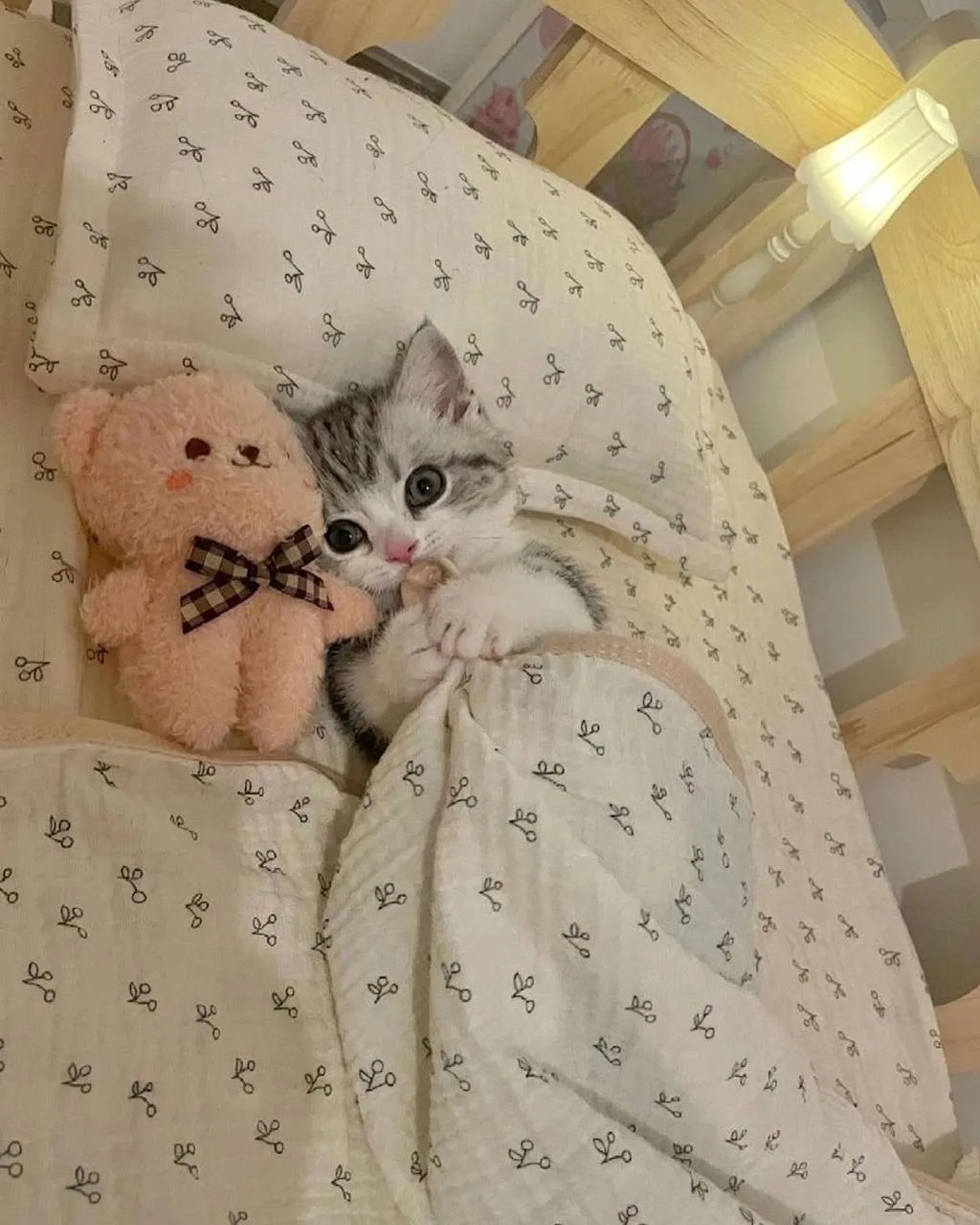 Спокойной ночки🥰