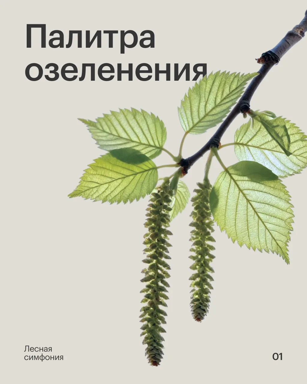 Концепция озеленения проектов ПИК