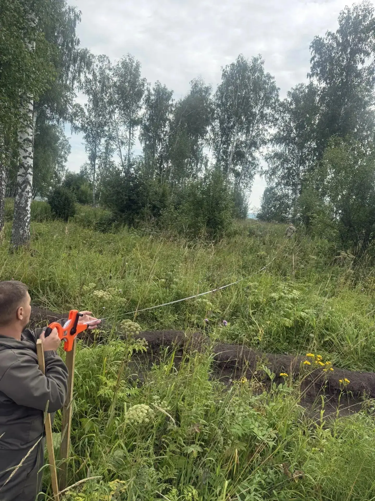 В Юргинском лесничестве завершилась техническая приёмка работ по компенсационному лесовосстановлению