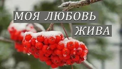 Всем - привет и наилучшие пожелания! Вчера написал лирическую композицию от женского ли...