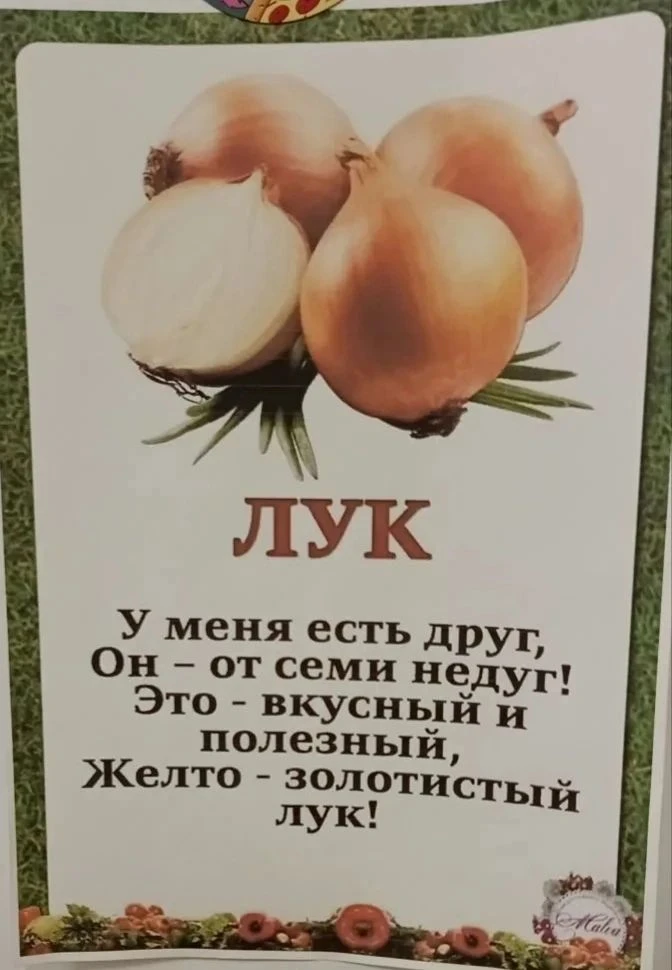 🧅 Знаете ли вы, что обычный лук — это не просто овощ, а герой сказок, главный помощник...