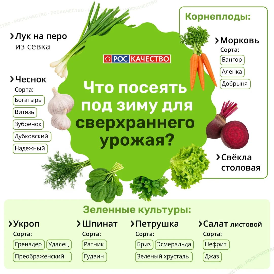 🫜Подзимний посев: закладываем основу для раннего урожая!