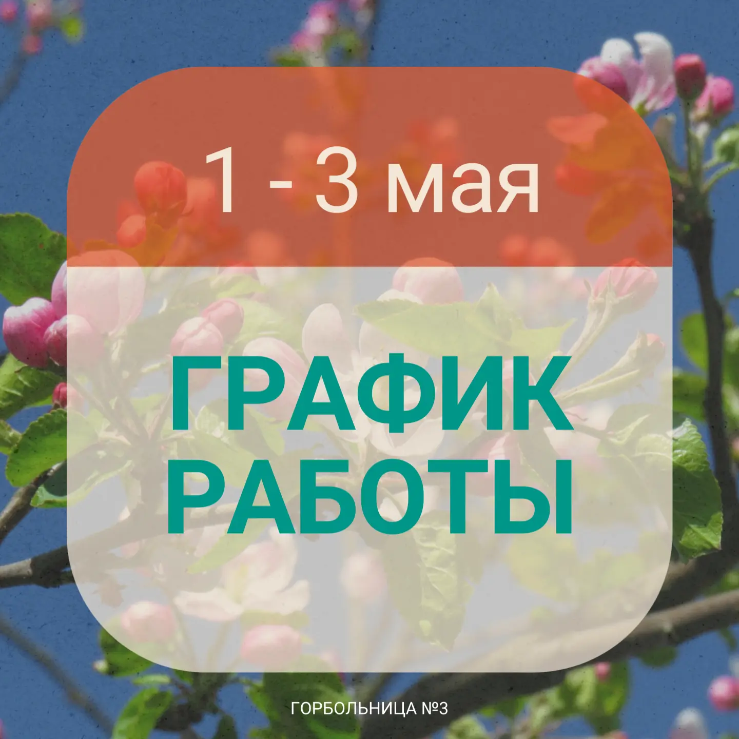 📌Сохраняйте в закладки график работы больницы в майские праздники